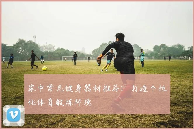 家中常见健身器材推荐:打造个性化体育锻炼环境